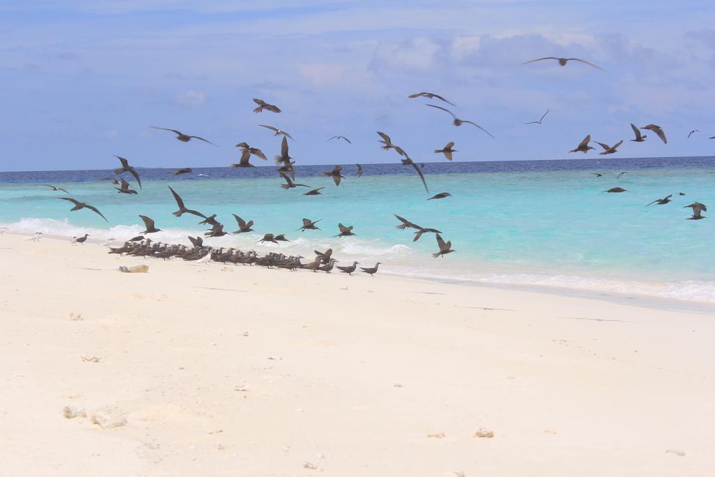 Hanifaru Stay Kendhoo Kültér fotó